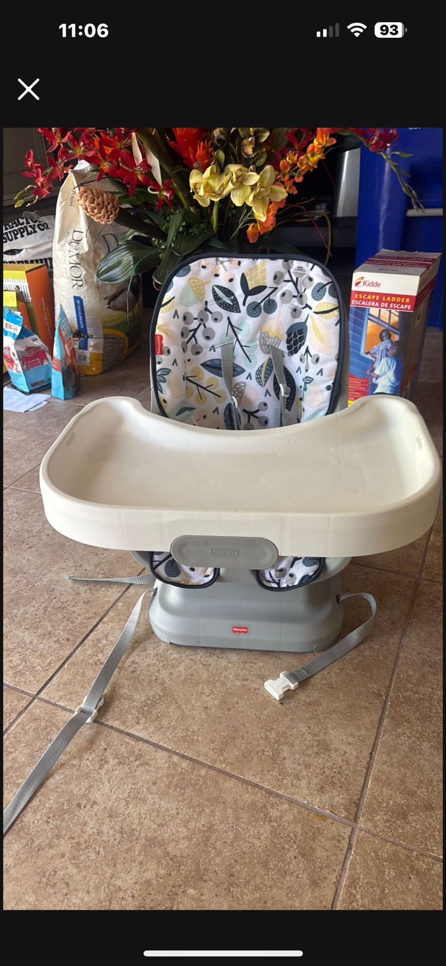 Fisher Price  Booster Seat
