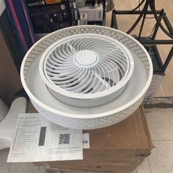 Ceiling Fan With Light 