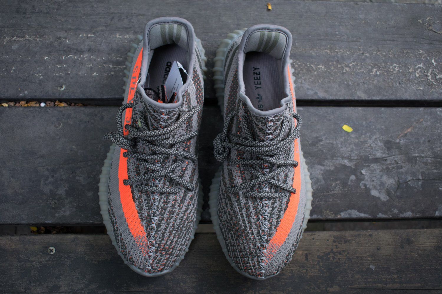Adidas Yeezy 350 V2 Beluga