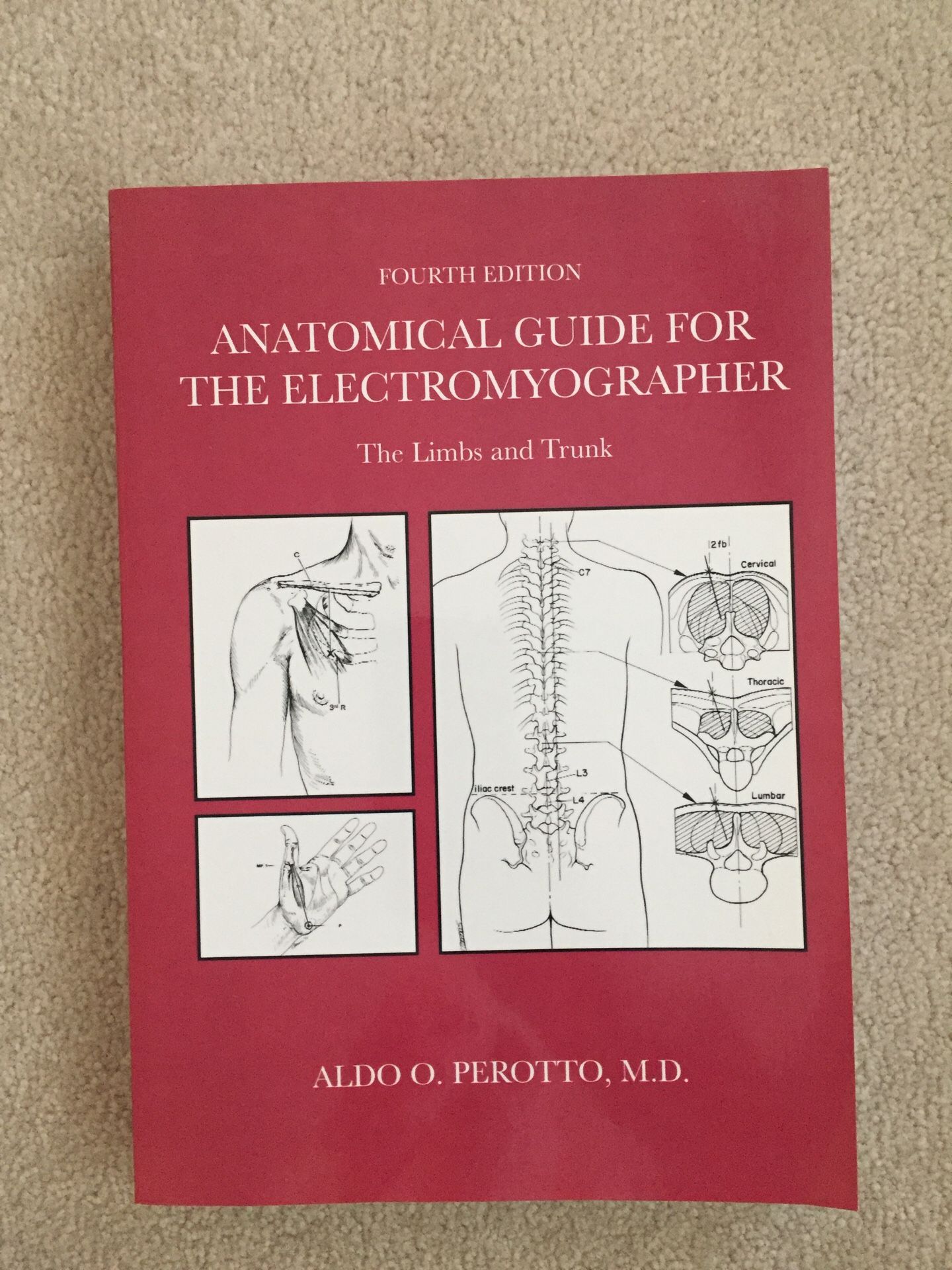 Anatomical guide for the electromyographer. Mint condition.