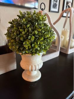 Ceramic Potted Topiary