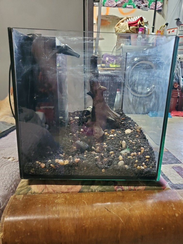Fish Tank