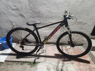 Ascension Schwinn Bike