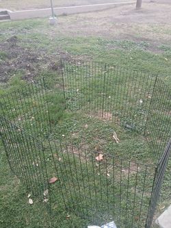 Dog gate