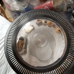 Reptile/ Hermit Crab Tank