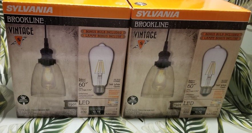 Vintage Indoor Hanging Lights