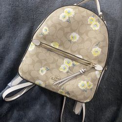 Real Coach Purses/Backpacks