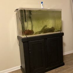 55 Gallon Fish Tank