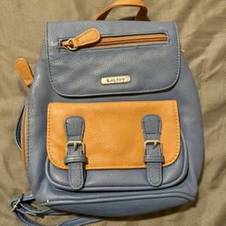 Small Backpack / Purse