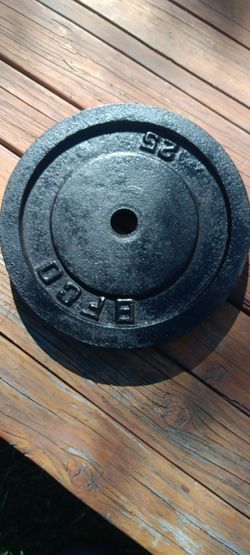 25lb.  Gym Plate