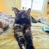 Amy