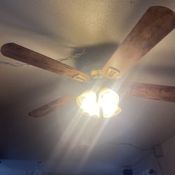 Ceilings Fan