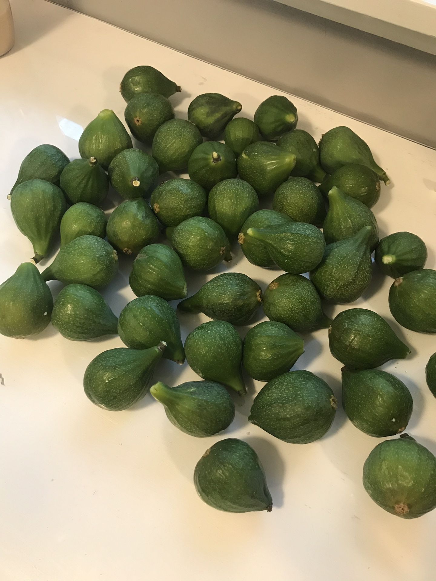 Fresh figs for Sale in Seattle, WA OfferUp