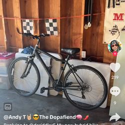 Canindale 3 advanture 200$