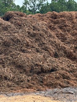 Free Palm Mulch / Dirty Mulch / Clean OF Trash