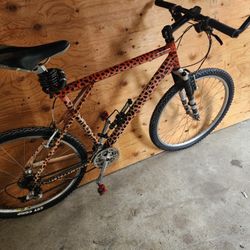 Mountain Bike - Custom Comp