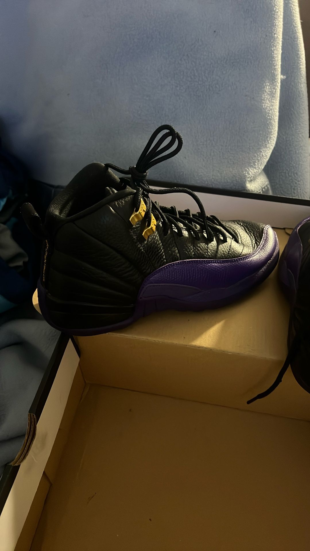Jordan 12