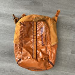 Patagonia Black Hole Backpack 