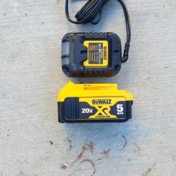 Dewalt 20v Battery 5.0 Ah And Charger Brand New 