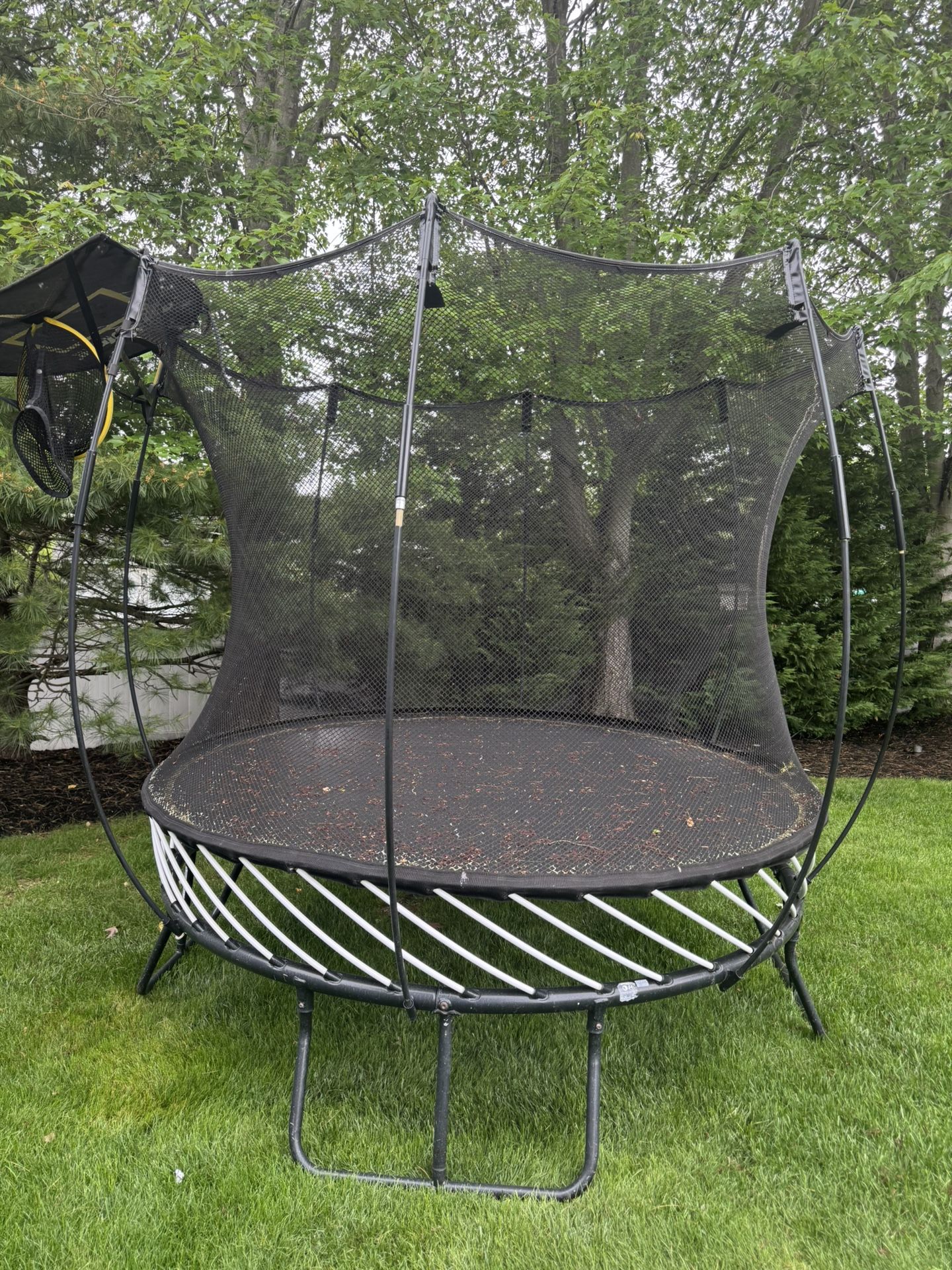 Trampoline