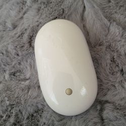 Apple Mouse Wireless 