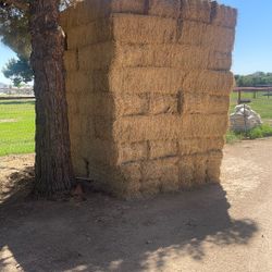 Alfalfa Hay
