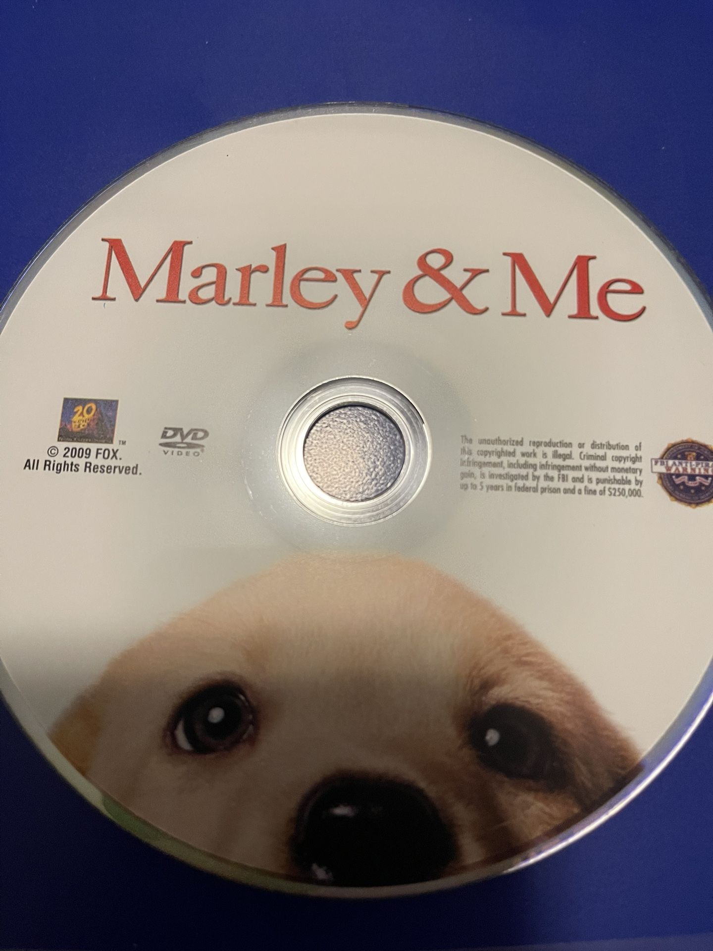 Family Movies