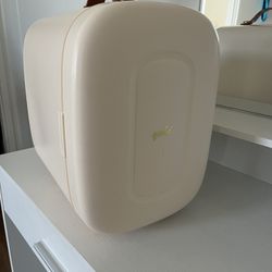 Mini beauty fridge
