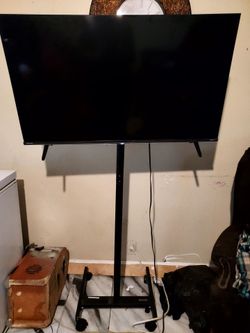 43" Hinsense Roku TV w rolling stand on wheels