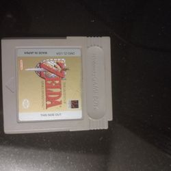 The Legend Of Zelda Links Awakening

 Gameboy 