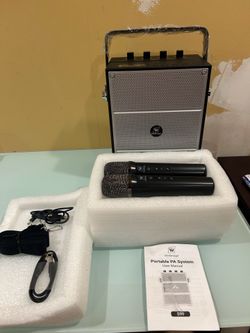 SAINTLARK VOICE AMPLIFIER