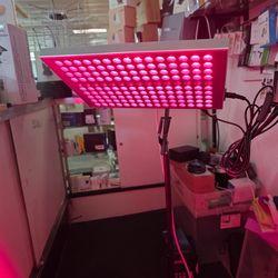 DUGSDG- LED RED LIGHT THERAPY 