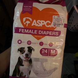 Doggie Diapers 