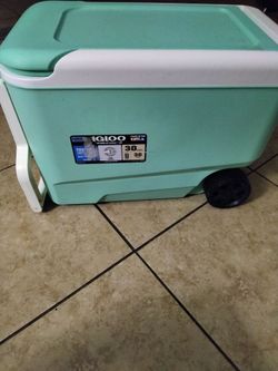 $40 igloo wheelie cooler 38 qrts