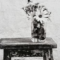 Framed Black-And-White Daisy Print (16X20)