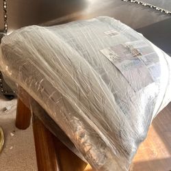 Living room rug brand new needs to be gone!