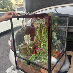 reptile terrarium tank 