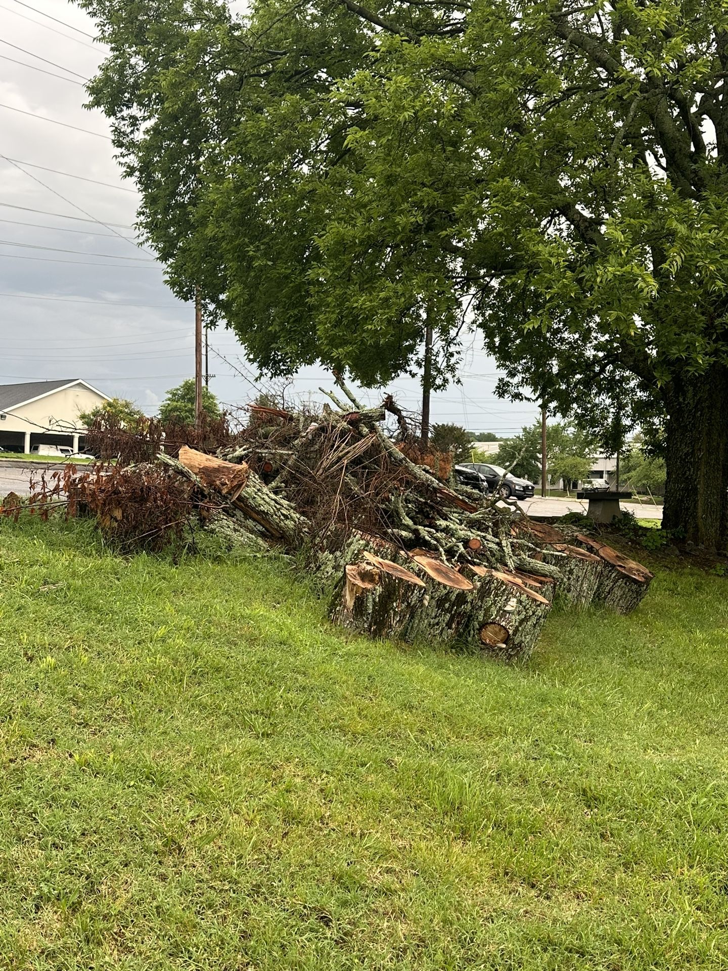Free Wood In Antioch, Tn