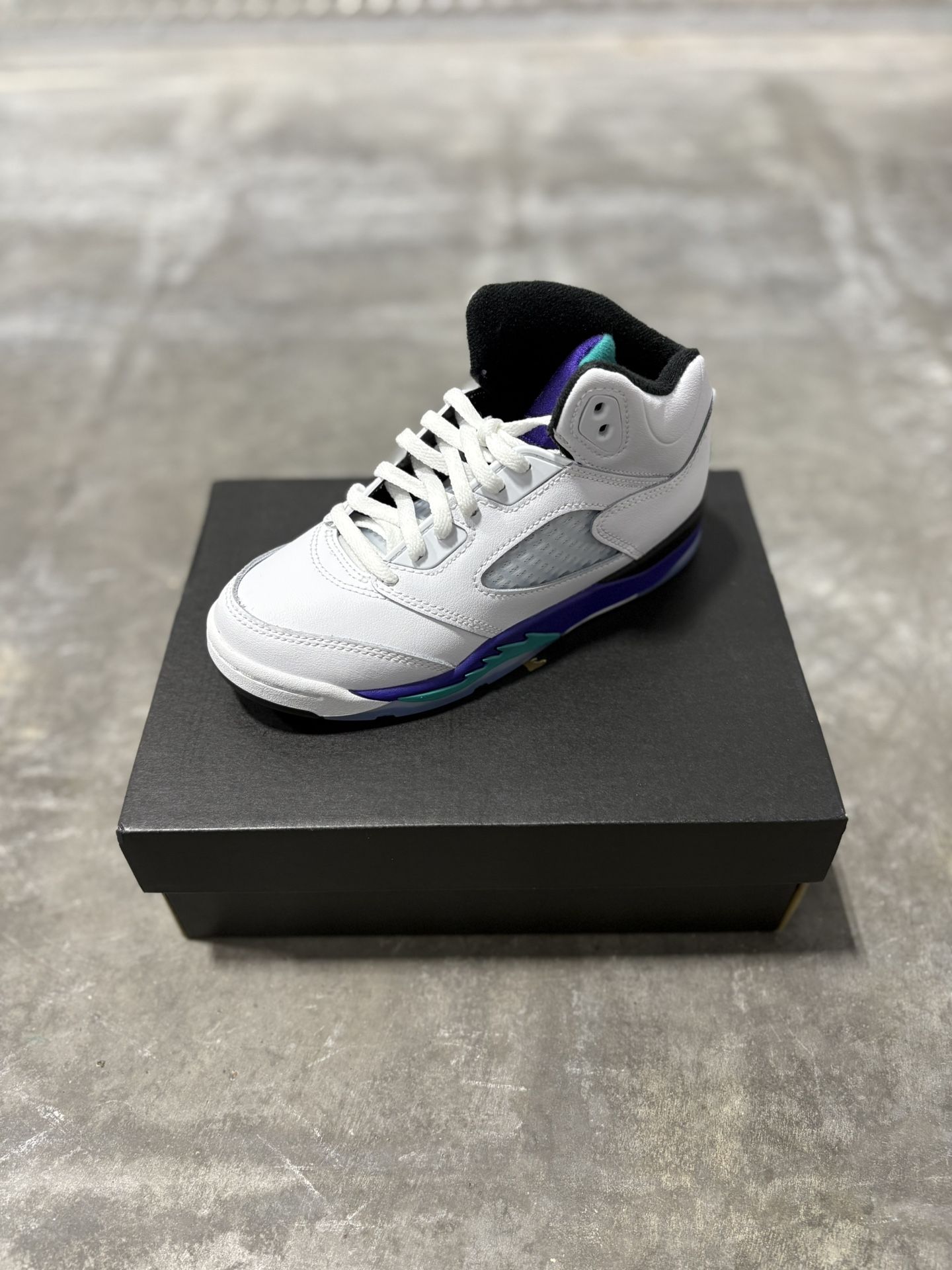 Jordan 5 Retro Grape (2025)