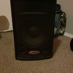 Harbinger Speaker For Guitar Or Microphone 