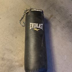 Everlast punching bag