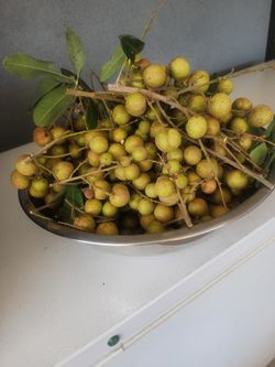 Longan Fruit