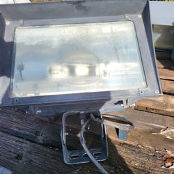 Halogen Flood Light