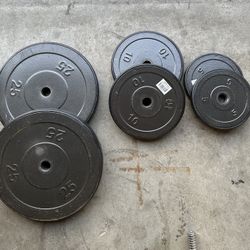 Curl Bar With Weights 80 Lb 