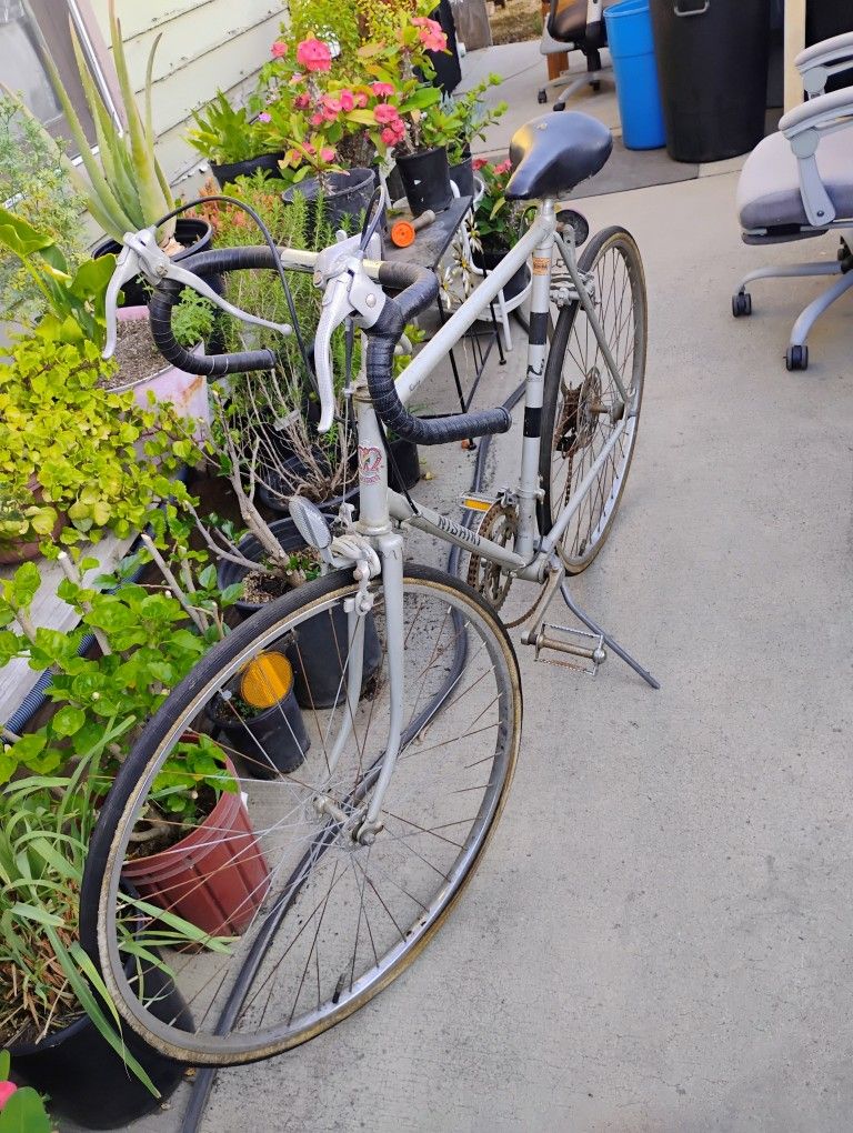Bicicleta Nishiki