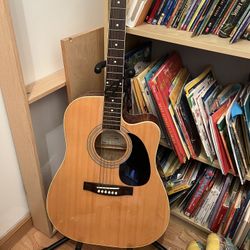 New York Pro Guitar