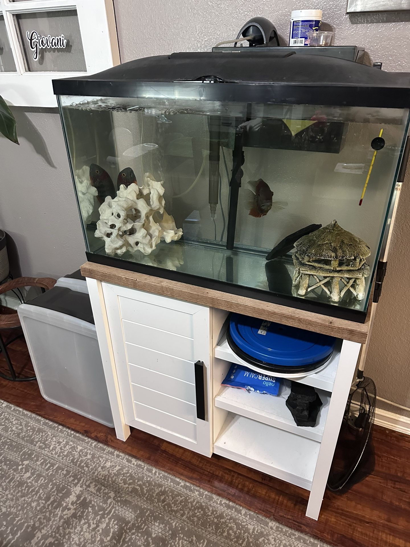 29 Gallon With Nice stand