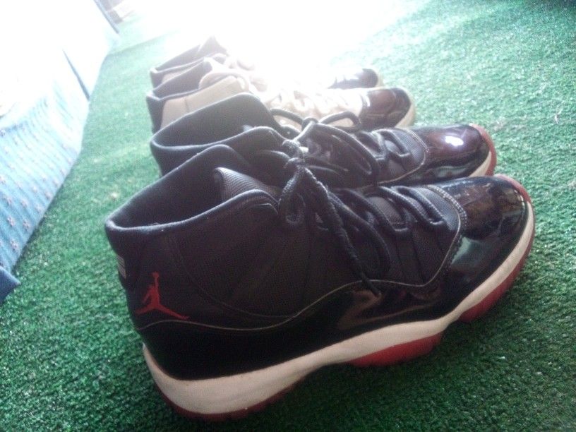 concord bred 11a