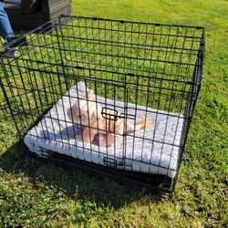 Metal Dog Crate