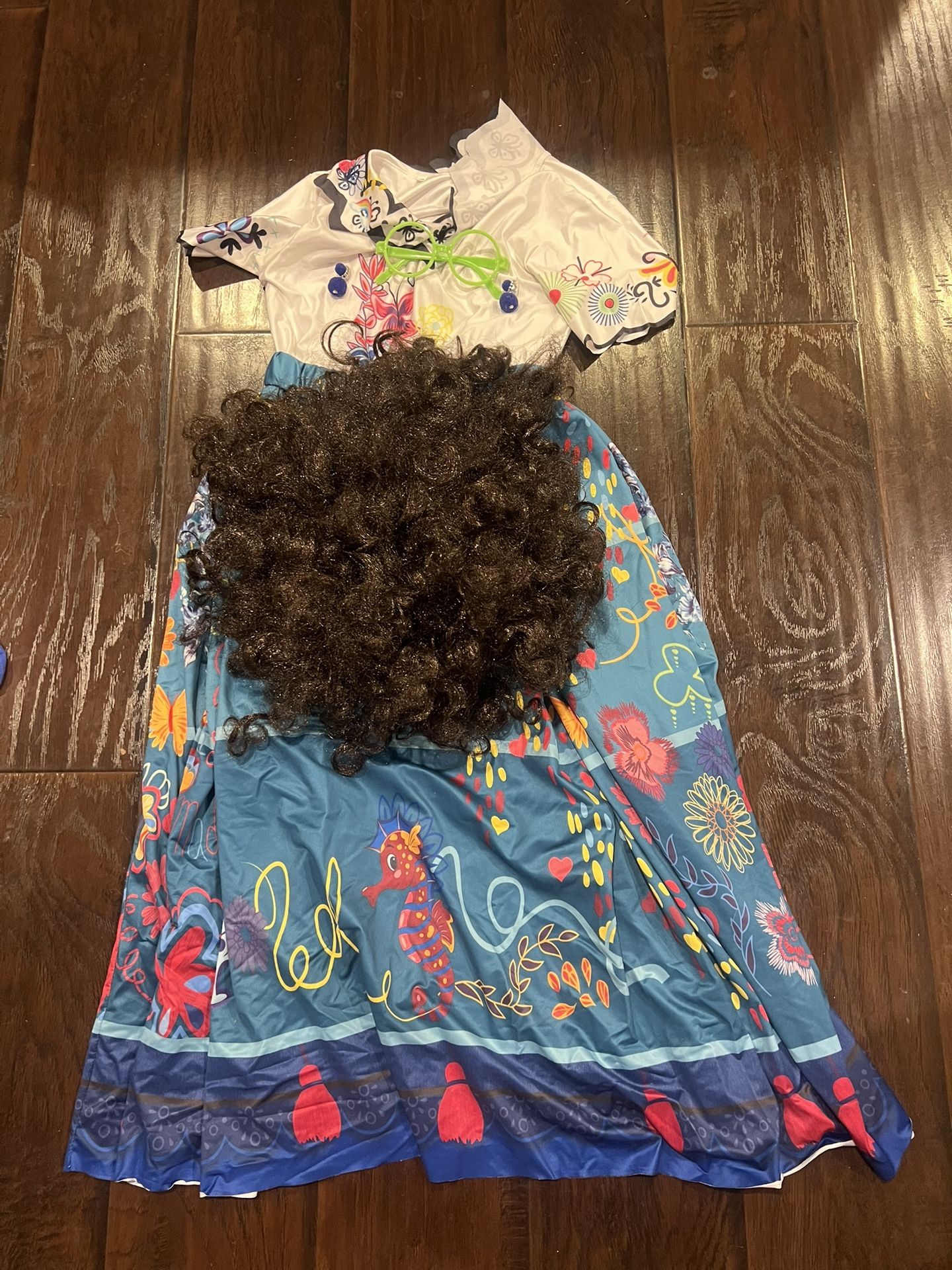 Encanto Costume Maribel